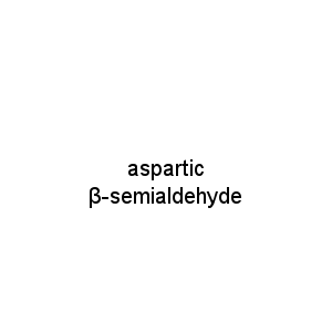 aspartic β-semialdehyde